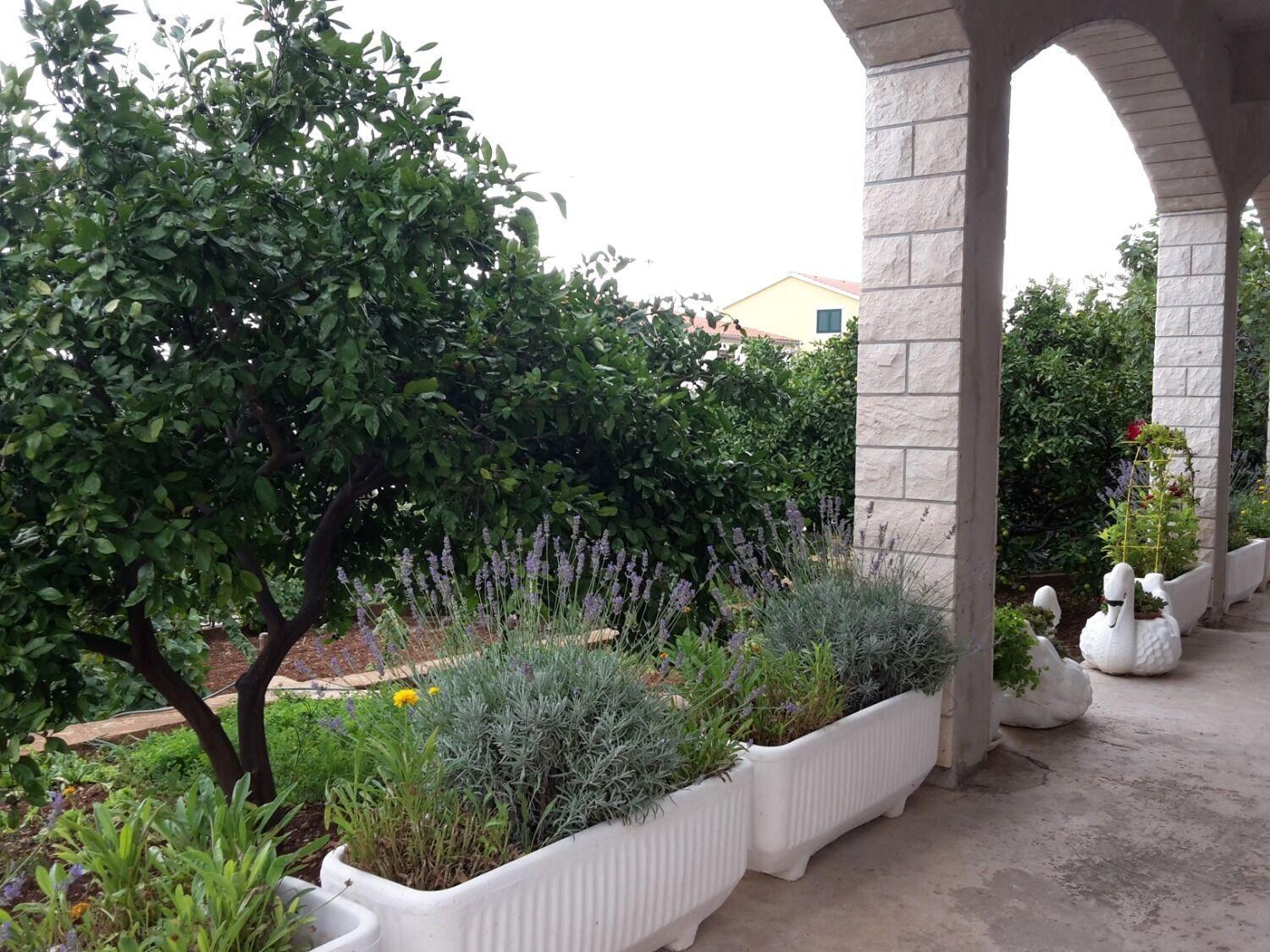 Apartments Josi - Parking And Barbecue Grebaštica المظهر الخارجي الصورة
